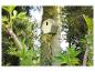 Nichoir moderne sur un tronc d'arbre, entouré d'une végétation luxuriante.