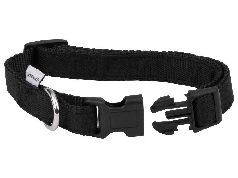 Collier pour chien avec laisse
