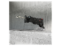Une scie sauteuse Parkside Performance avec une lame en métal flexible repose sur un mur en béton.
