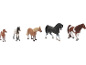 Quatre figurines de chevaux jouets : deux poulains, un poney et un cheval adulte.