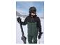 Un homme vêtu d'une veste de ski verte et d'un pantalon de ski noir avec des skis et des bâtons dans la neige.