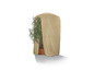 Une housse de protection pour une plante, probablement un olivier.