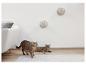 Éléments de mur d'escalade pour chats KERBL PET Matterhorn avec deux chats