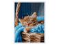 Kit broderie diamant: chaton roux dormant dans un panier bleu.