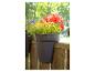 Pots de fleurs avec géraniums rouges et autres plantes suspendus à une clôture en bois.