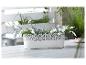 Pot de fleurs blanc avec des fleurs et un bord décoratif