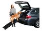Rampe d'accès pour animaux, voiture et Golden Retriever.