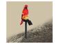Lampe de jardin solaire en forme de perroquet rouge