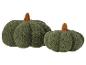 Deux citrouilles décoratives vertes et moelleuses avec des tiges marron.