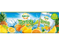Pochettes de jus de fruits tropicaux avec ananas, oranges et citrons dans l'eau éclaboussante.