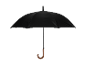 Un parapluie noir classique avec une poignée en bois.