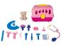 Jouet vétérinaire avec chien en peluche, cage de transport et accessoires.