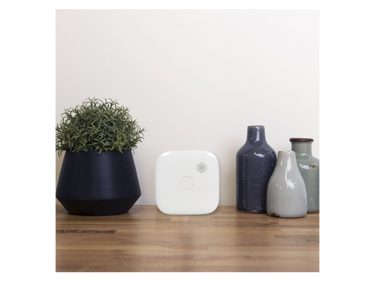 Appareil domotique blanc à côté d'une plante et de vases décoratifs sur une surface en bois.