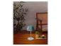 Lampe de table bleue sur une table en bois avec plantes et chaise.