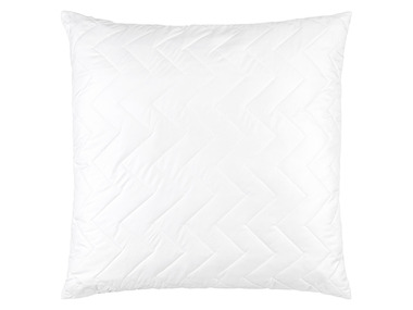 LIVARNO home Oreiller Aloe Vera, 60 x 60 cm