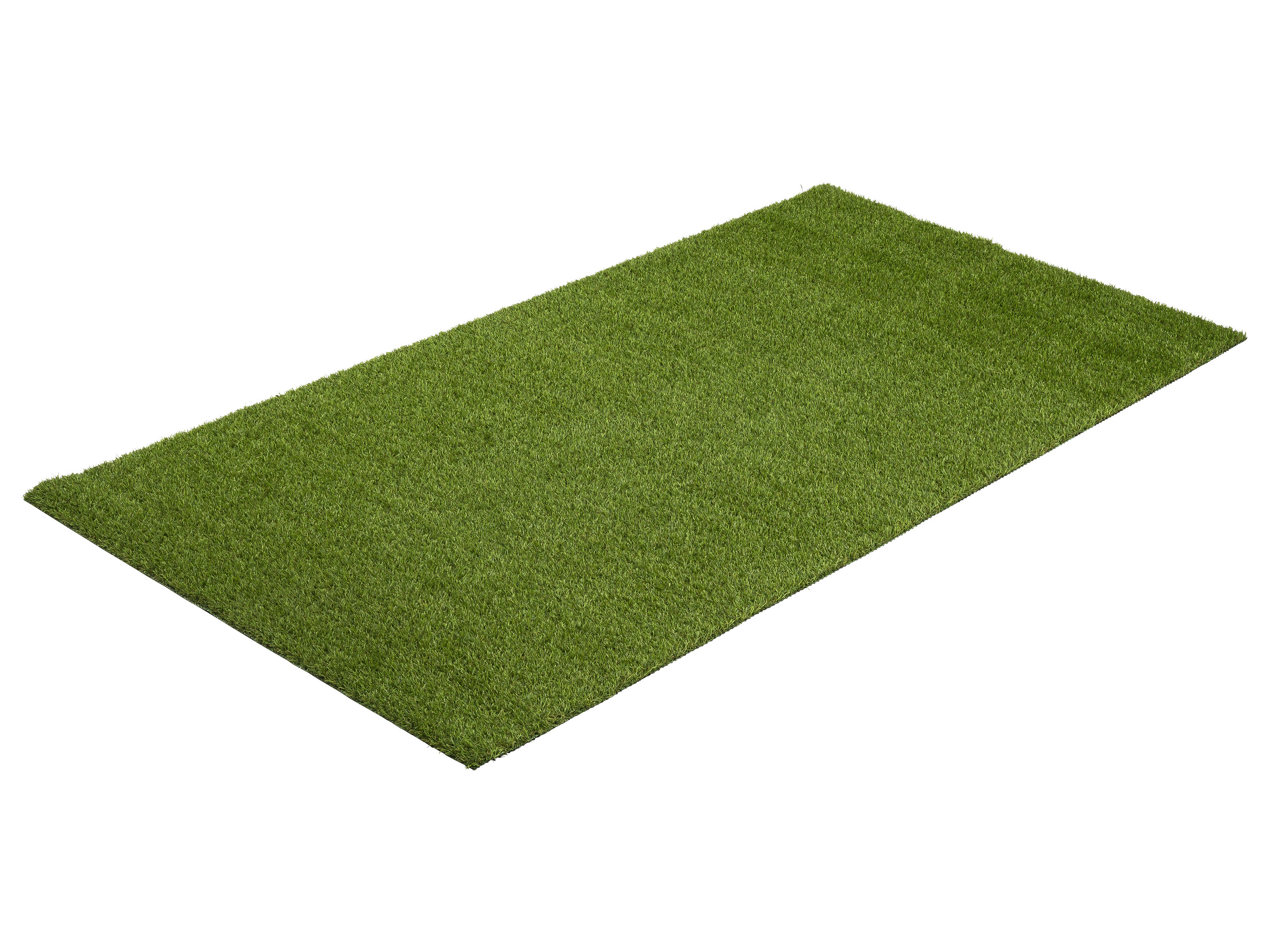 LIVARNO home Tapis en gazon synthétique, 100 x 200 cm