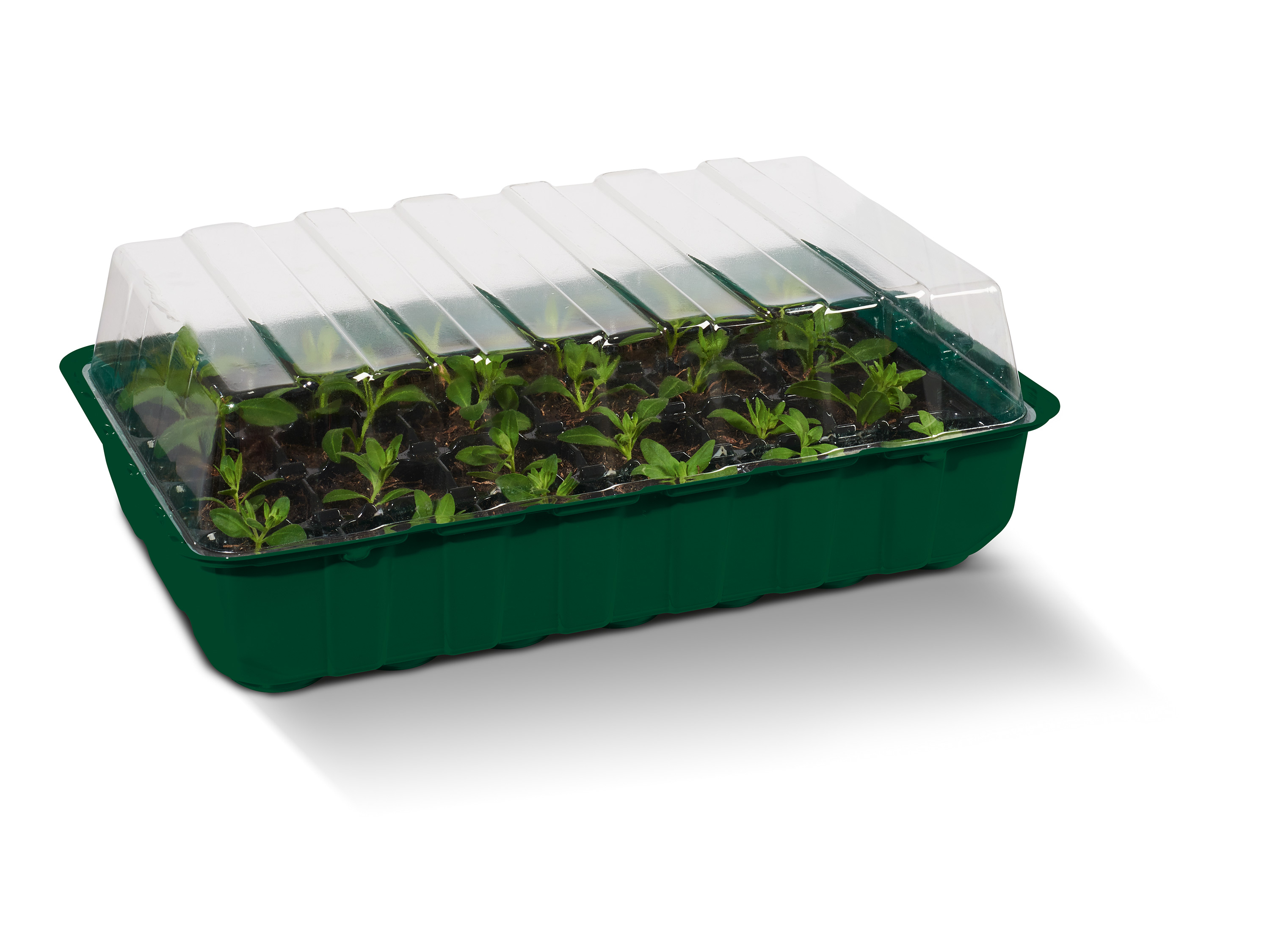 PARKSIDE® Set de bacs de culture, 4 pièces