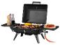 Grillade au gaz avec steaks, saucisses et brochettes.
