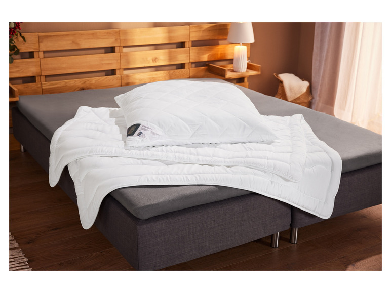 Aller en mode plein écran : LIVARNO home Oreiller TECFill 25, 60 x 60 cm - Image 2