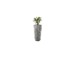 Grand pot de fleurs gris avec une plante verte et un robinet en laiton.
