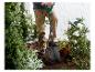 Personne utilisant une pelle de jardin pour creuser dans la terre, entourée de plantes et de fleurs.