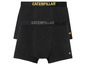 Deux boxers noirs Caterpillar.