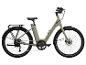 Un vélo électrique gris avec des pneus Schwalbe.