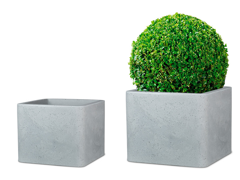 Aller en mode plein écran : Scheurich Pot à plantes « Cube », en plastique, carré, à paroi épaisse - Image 4