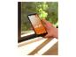 Main tenant un smartphone affichant une application d'éclairage intelligent avec le texte 'SMART+'.