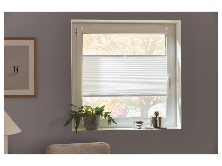 Fenêtre avec store plissé blanc, plante en pot et objets décoratifs sur le rebord.