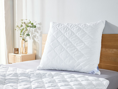 LIVARNO home Oreiller, 60 x 60 cm