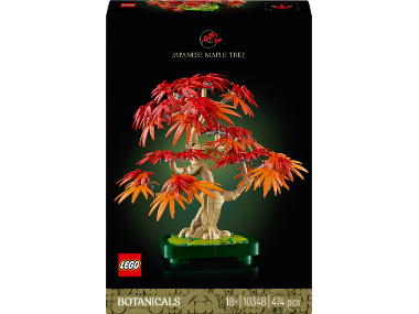 LEGO BOTANICALS Érable rouge du Japon – Arbre à bonsaï
