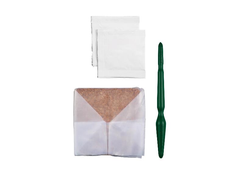 Deux sachets de graines, une pastille de fibre de coco et une pelle à planter verte.