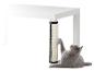 Un chat gris joue avec un griffoir sur une table blanche.