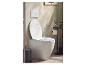 Des toilettes blanches modernes avec abattant ouvert, plaque de chasse et poubelle à pédale gris foncé dans une salle de bain.