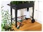 Jardinière sur roues noire avec plantes, arrosoir et outils de jardinage.