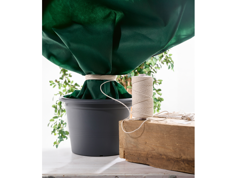 Plante en pot avec housse de protection verte et ficelle sur un bloc de bois.