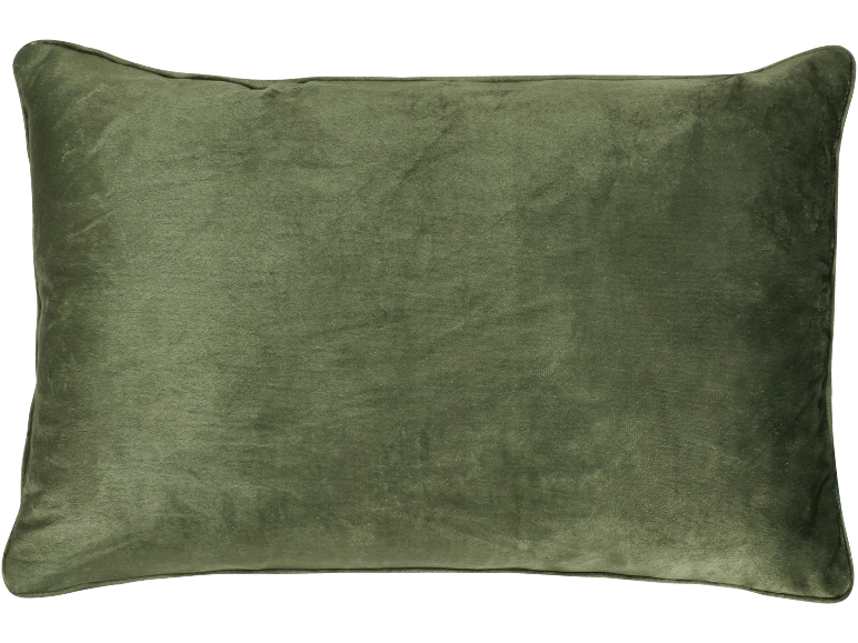 Coussin en velours vert
