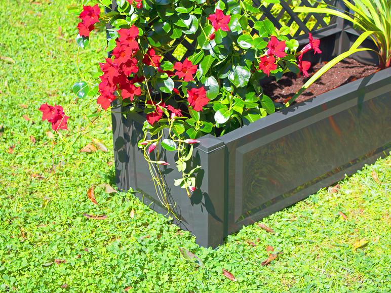 Aller en mode plein écran : KHW Bac à fleurs avec trellis, 110 L - Image 26