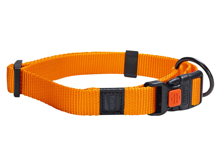 Aller en mode plein écran : Collier avec laisse - Image 28