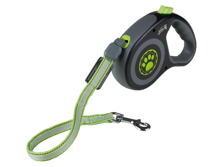 Laisse rétractable grise et verte pour chien