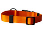Un collier de chien orange avec une boucle et un anneau en D noirs.