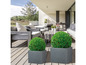 Deux pots carrés gris avec des plantes vertes sphériques sur une terrasse.