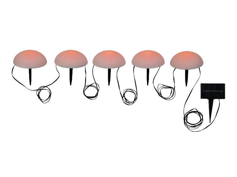 Cinq lampes solaires à piquet en forme de champignon.