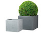 Deux pots carrés avec une plante sphérique.