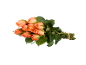 Bouquet de roses oranges avec des tiges et des feuilles vertes sur fond noir.
