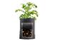 Une plante de pomme de terre dans un pot avec des pommes de terre visibles
