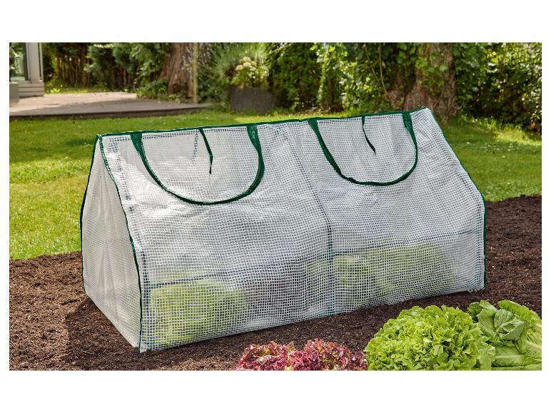 Petite serre de jardin avec des plants de laitue à l'intérieur et à côté