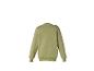 Sweat-shirt vert de dos avec manches longues et poignets élastiques.