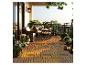 Balcon confortable avec carrelage en bois, mobilier d'extérieur et diverses plantes.